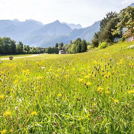 Pension St. Nikolaus Golling an der Salzach Esterno foto